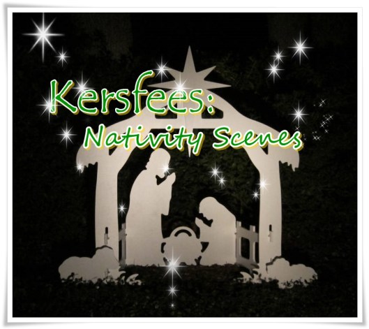 kersfees nativity scene - groot
