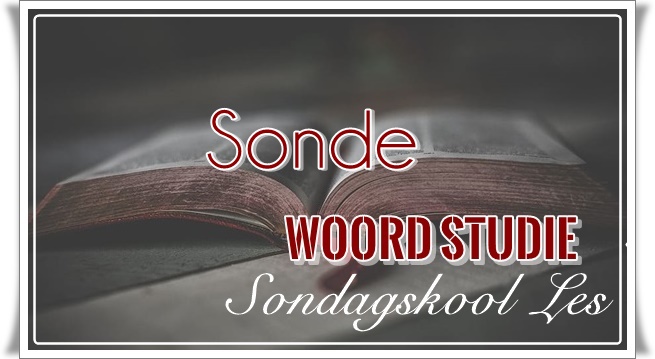 3. sonde - groot