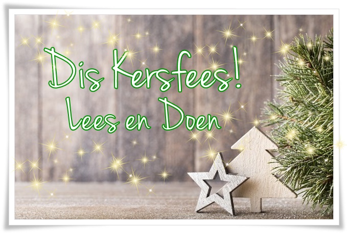 dis kersfees - groot