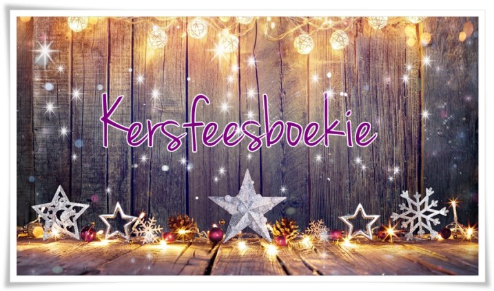 kersfeesboekie - groot