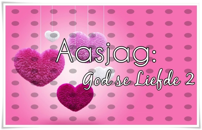aasjag 2 - groot