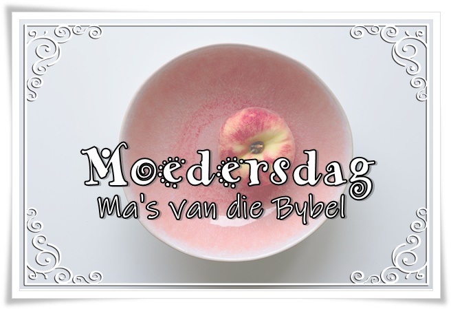 mas vd bybel - groot